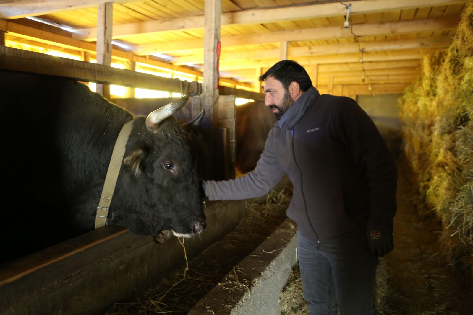 200 yıllık gelenek yok olma tehlikesiyle karşı karşıya