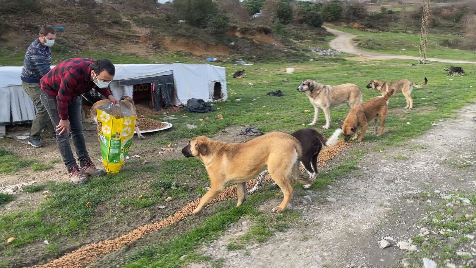 İstanbul'un ormanlarında 'gönüllü' temizlik