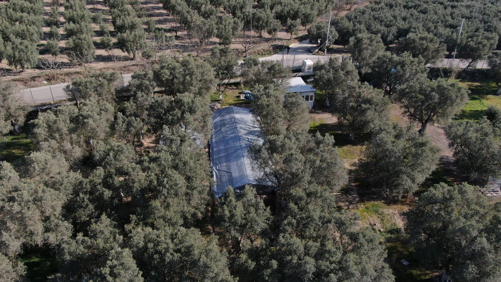 Lahit tarlasında koruma tedbirleri: Kraliçenin mezarı aranıyor