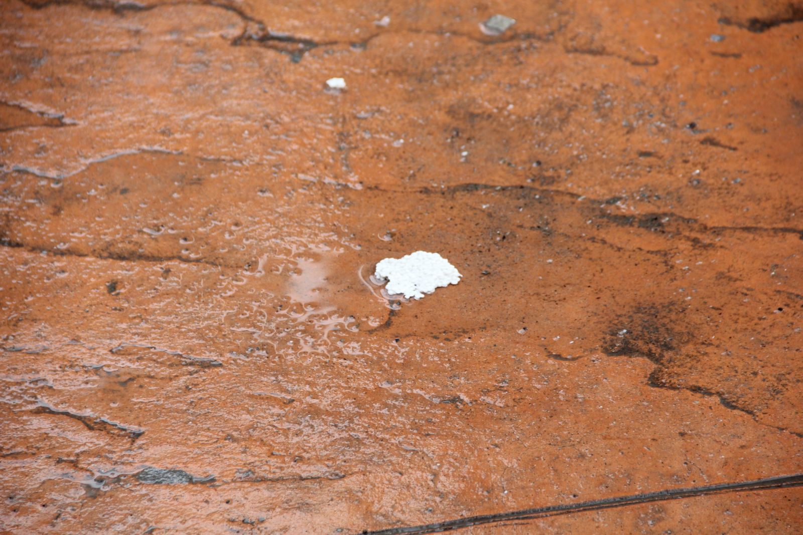 Gizli tehlike mikroplastik! Suda, havada, sofra tuzunda, maskede bile var