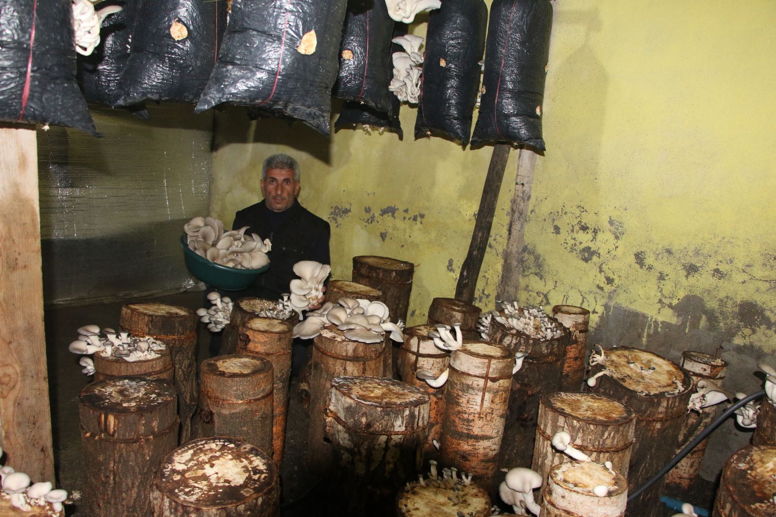 Bir torba ve bir kütük ile başladı şimdi siparişlere yetişemiyor