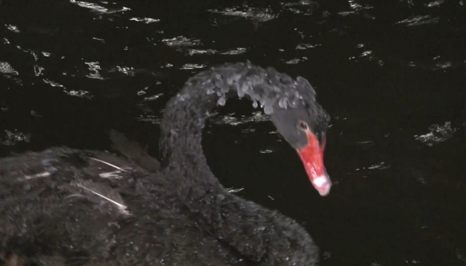 Ankara buz tuttu, hava sıcaklığı -17 dereceye kadar düştü