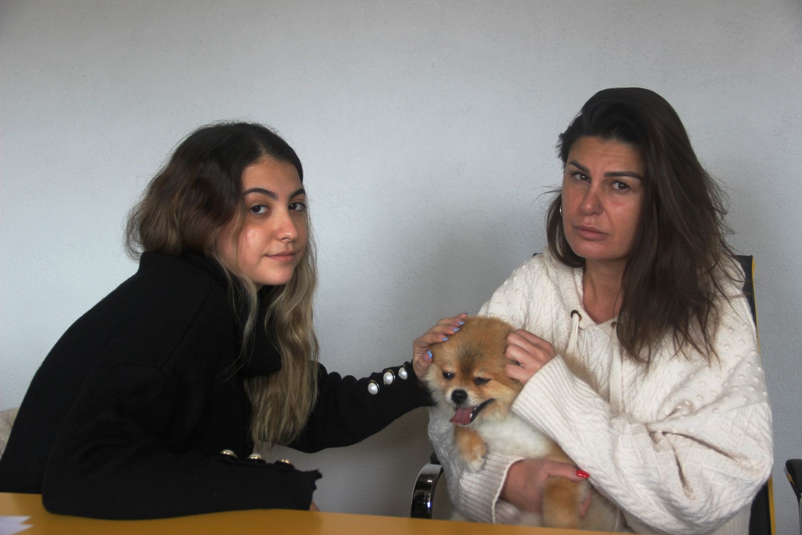 Köpeğin saldırısına uğrayarak yaralanan genç kızın annesi, köpeği ezmekle suçlandı