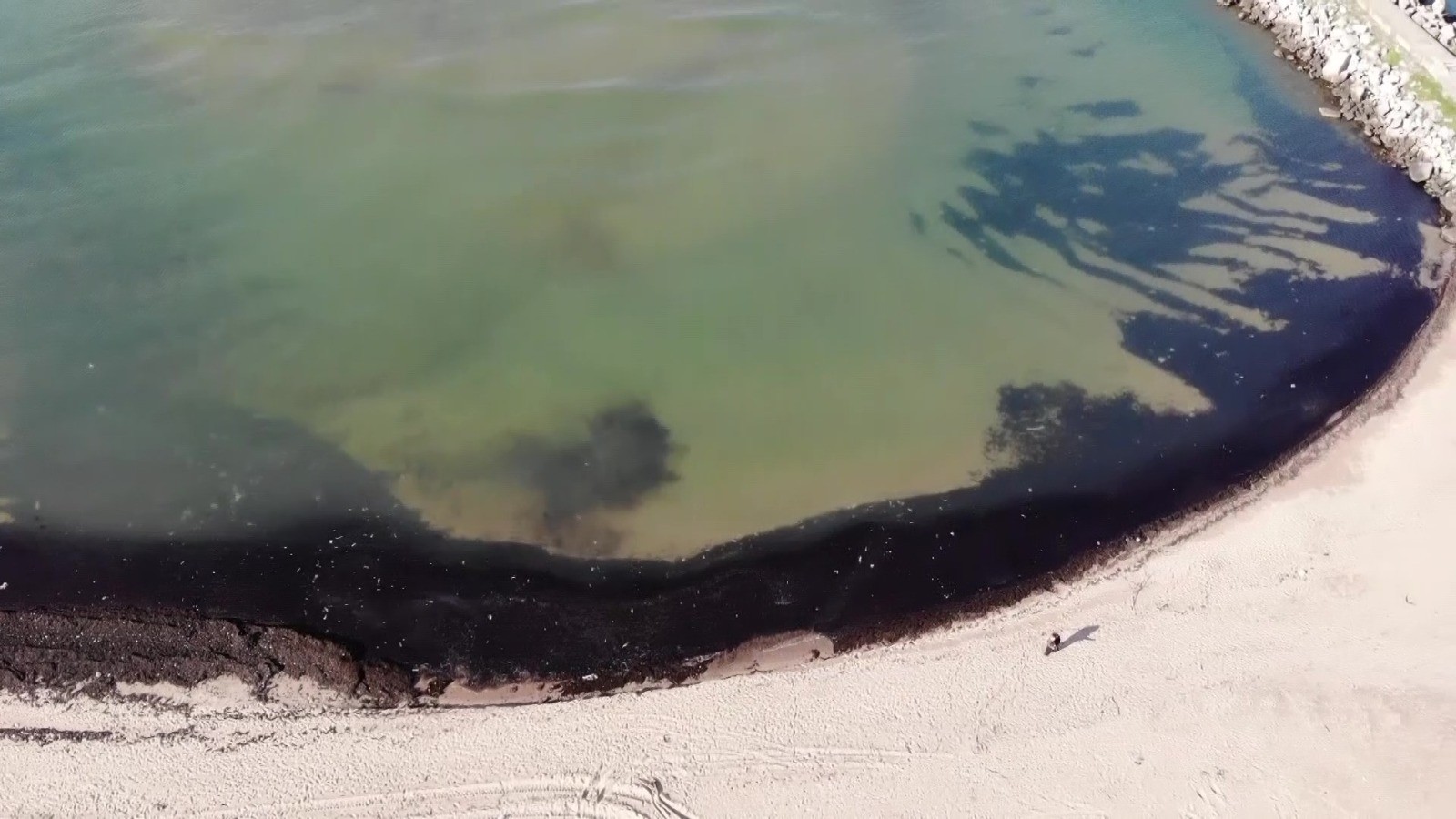 İstanbulluların uğrak sahili çöp yuvasına döndü