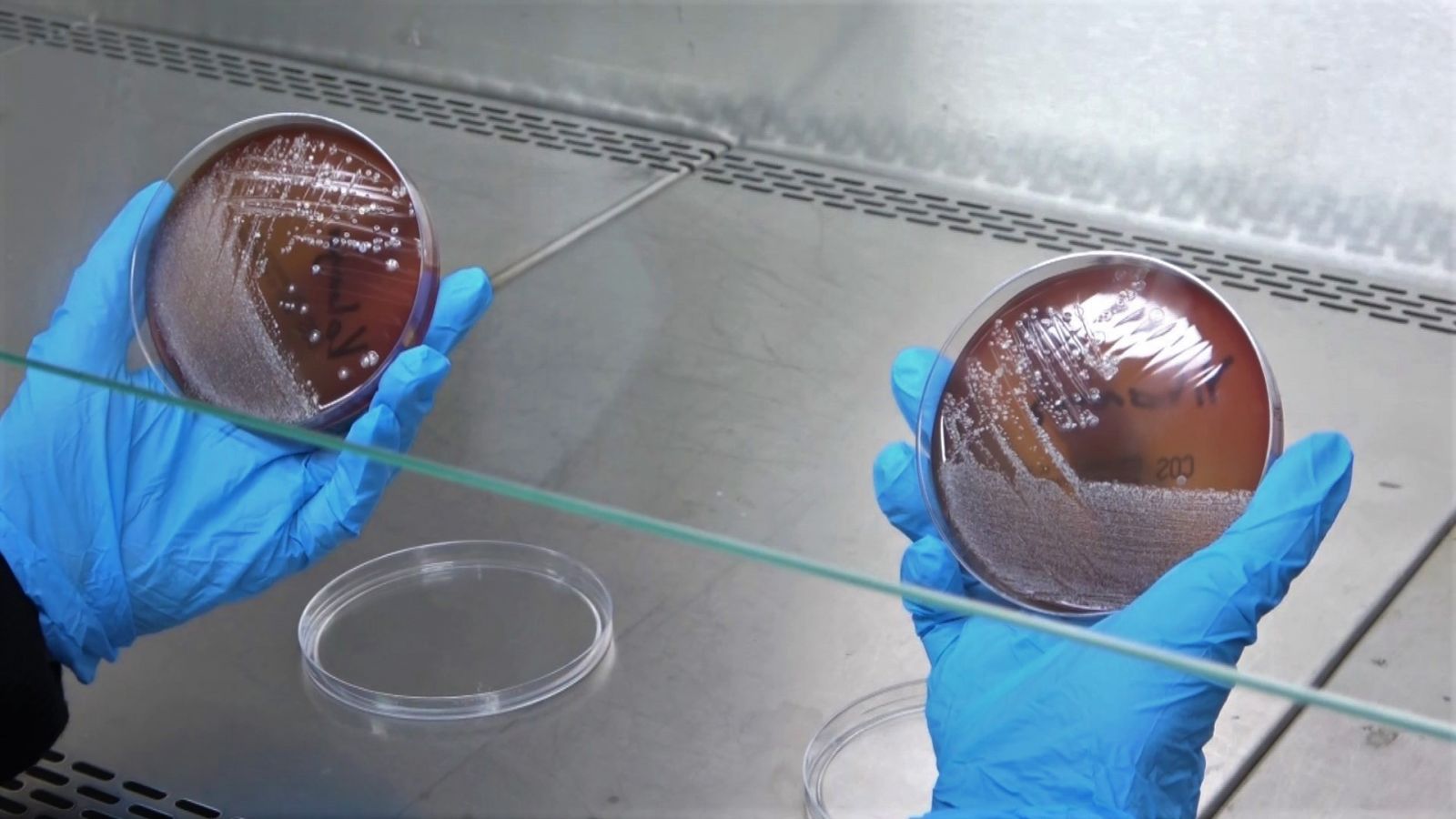 Yıkanan veya kolonya sıkılan maskede korkutan sonuç Yıkanan veya kolonya sıkılan maskede korkutan sonuç