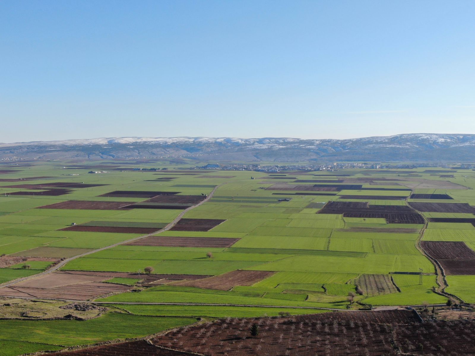 İtalyan makarnasına buğday Gaziantep’ten