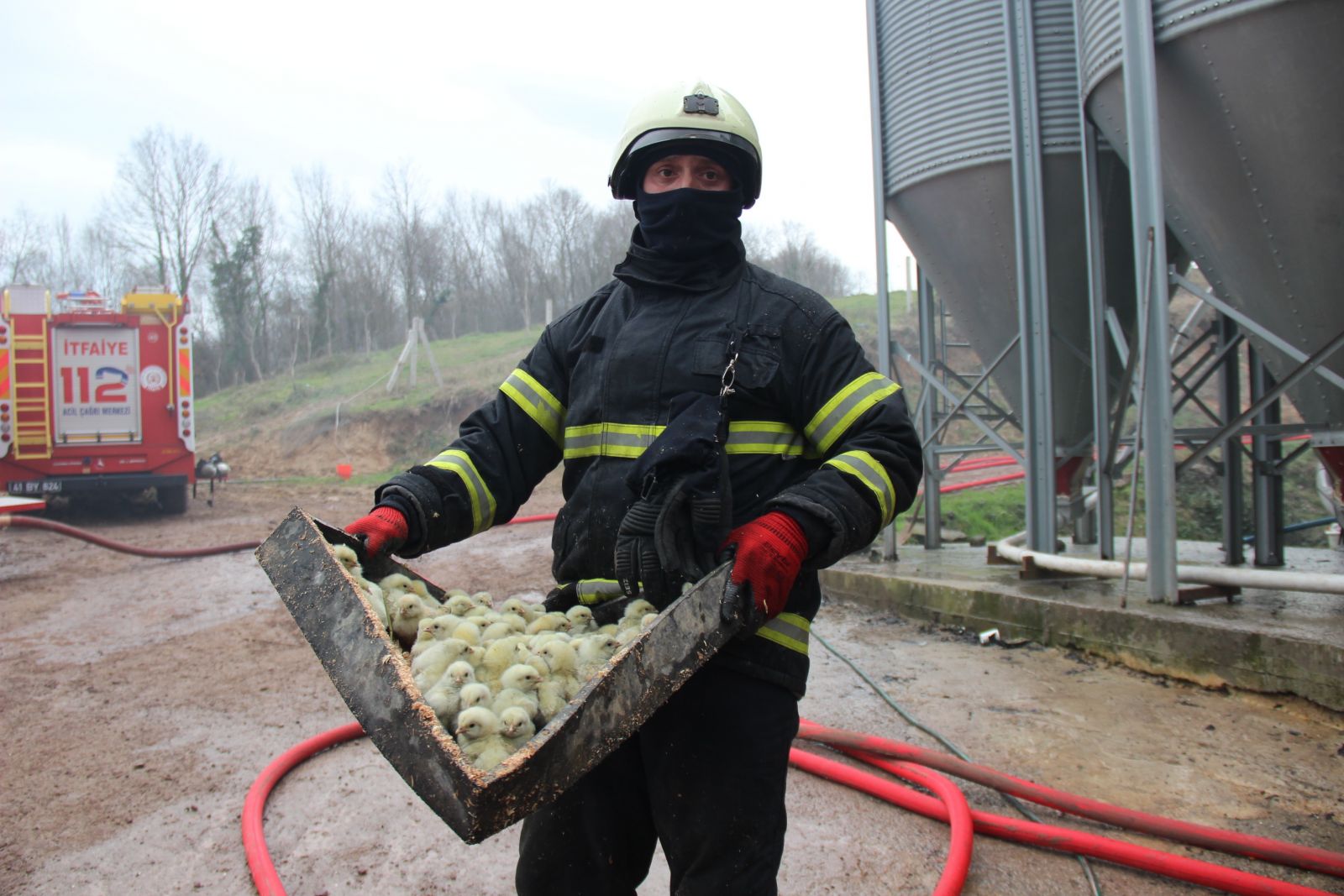 56 bin civcivin bulunduğu çiftlikteki yangında duygulandıran görüntüler