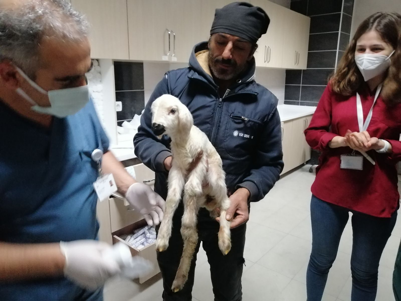 Hastane acil servisinde kuzu seferberliği