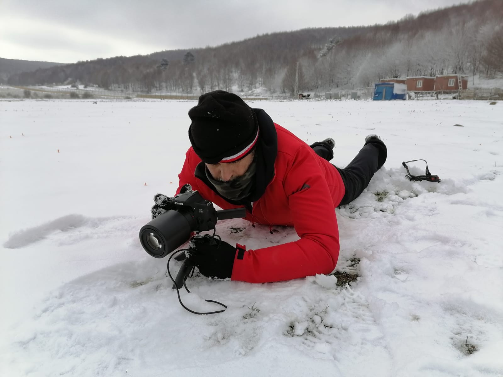 Dikkat! Bu çiçeği koparmanın cezası 80 bin liraya yükseldi