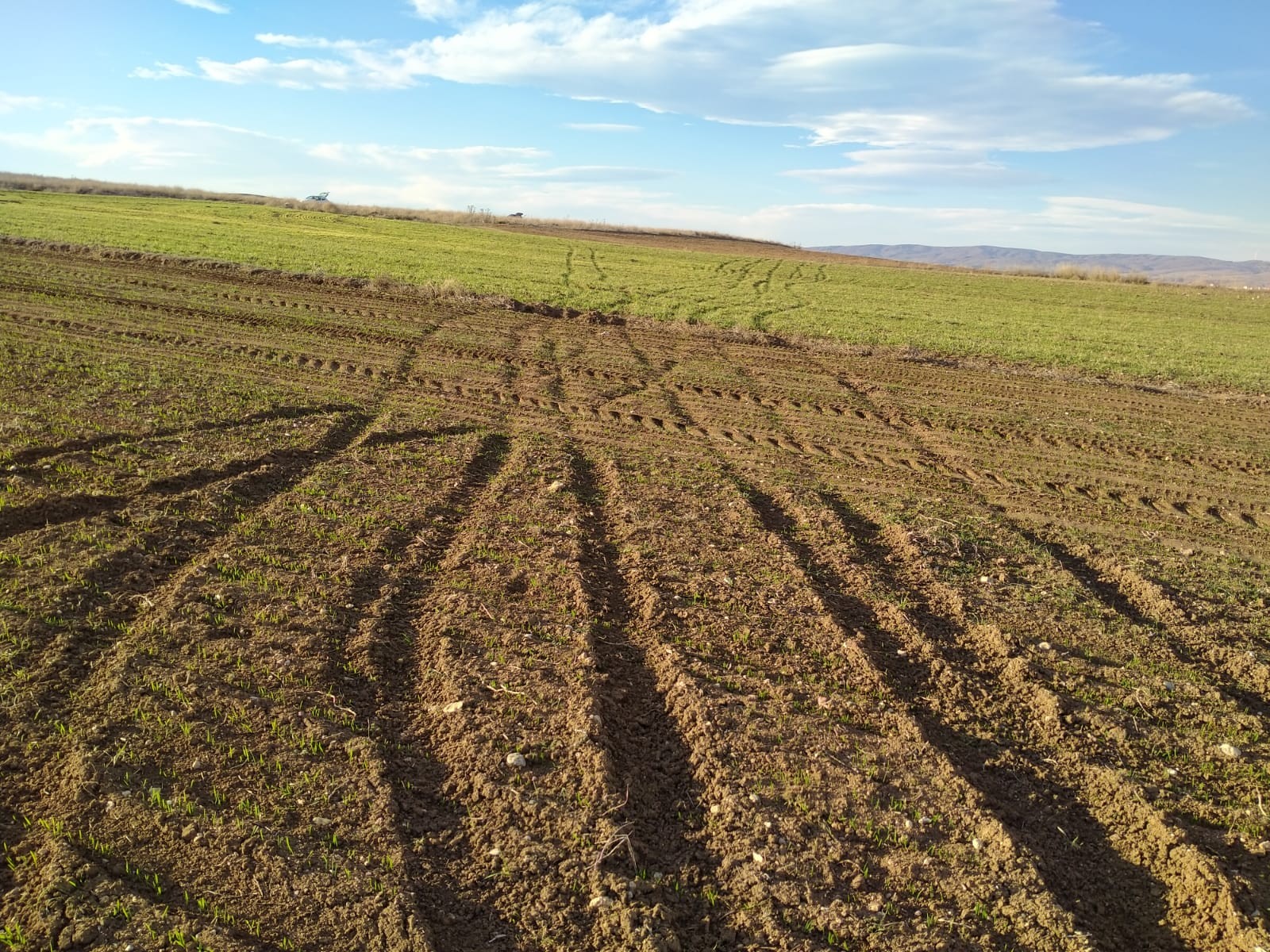 Keyif yaparken çiftçinin emeğini hiçe saydılar