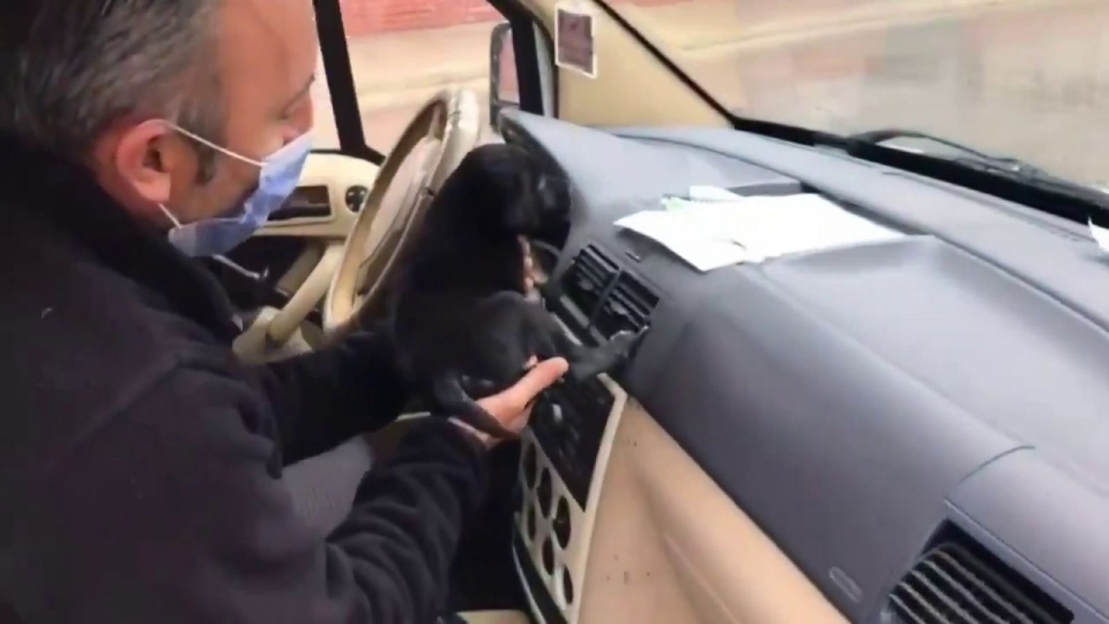 Donmak üzere olan yavru köpeğin yardımına polis yetişti