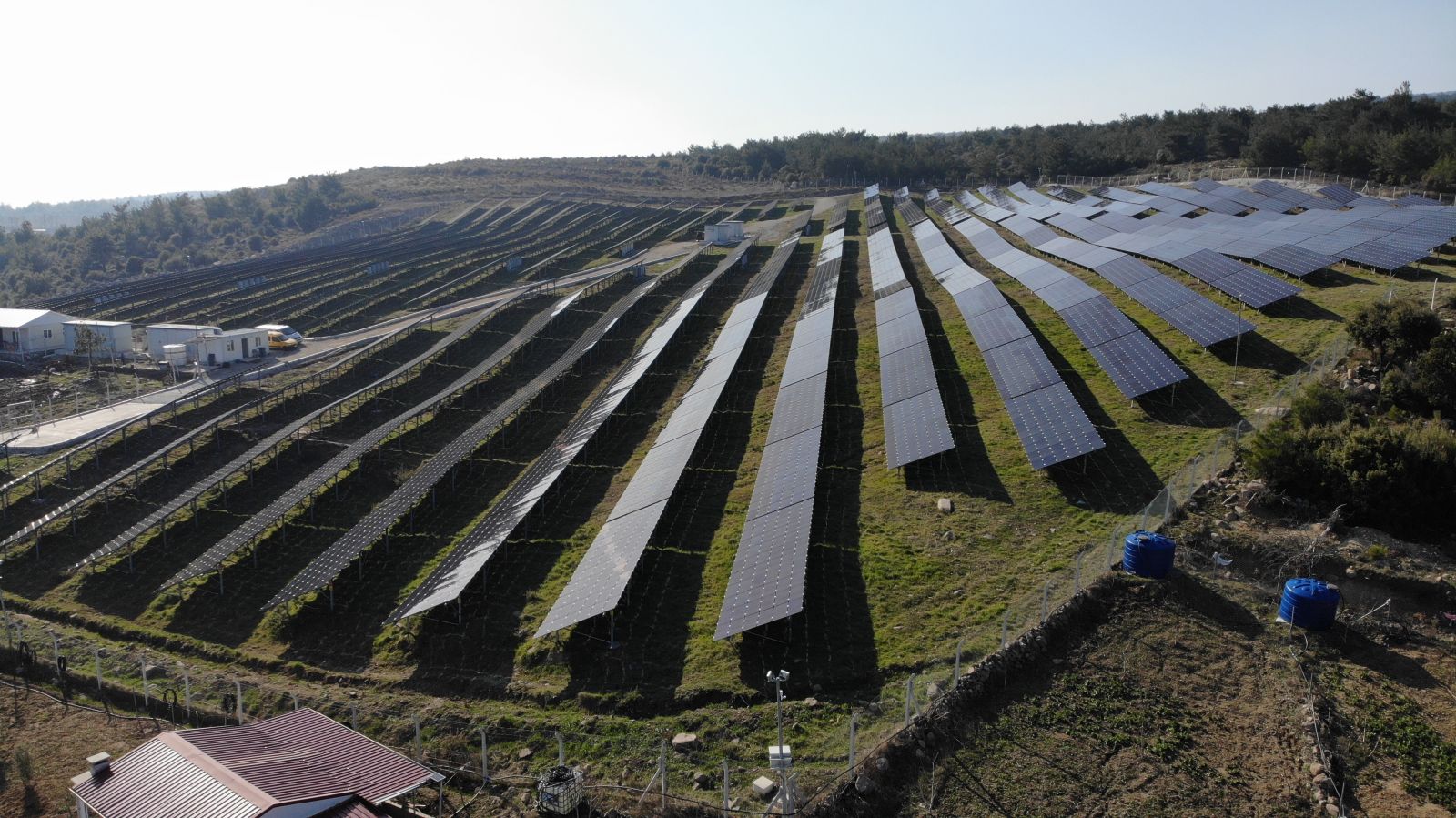 Keçi çobanlığından iş adamlığına