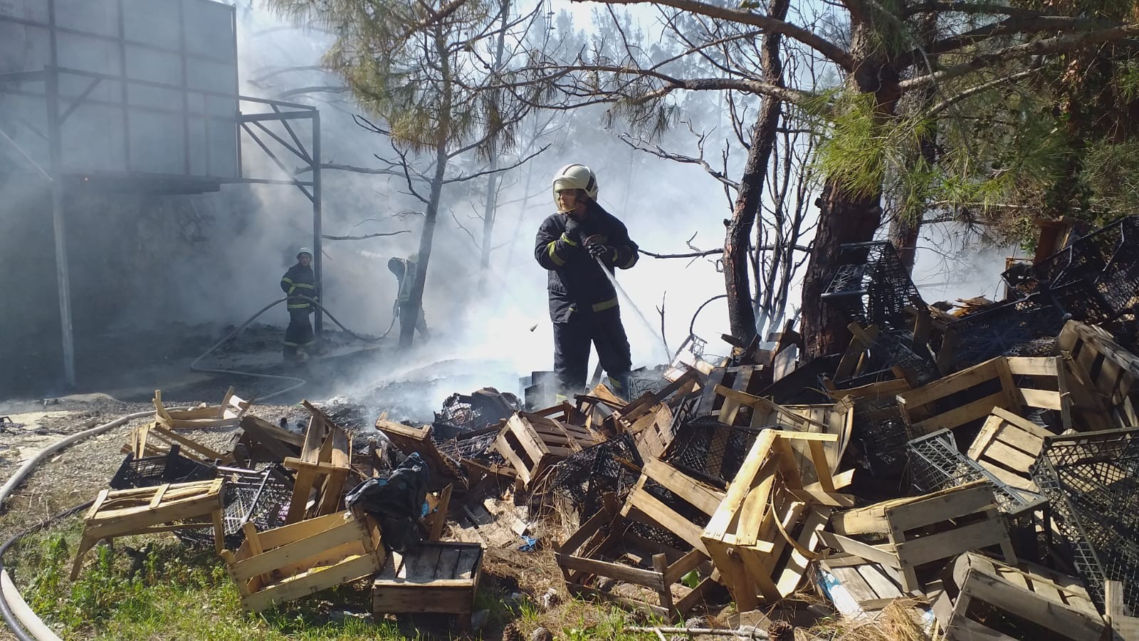 Bodrum'da büyük panik! Kaynak yaparken ormanı yaktılar