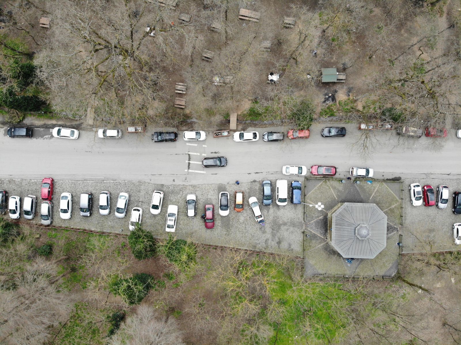 Belgrad Ormanı'nda aylar sonra piknik yoğunluğu Belgrad Ormanı'nda aylar sonra piknik yoğunluğu