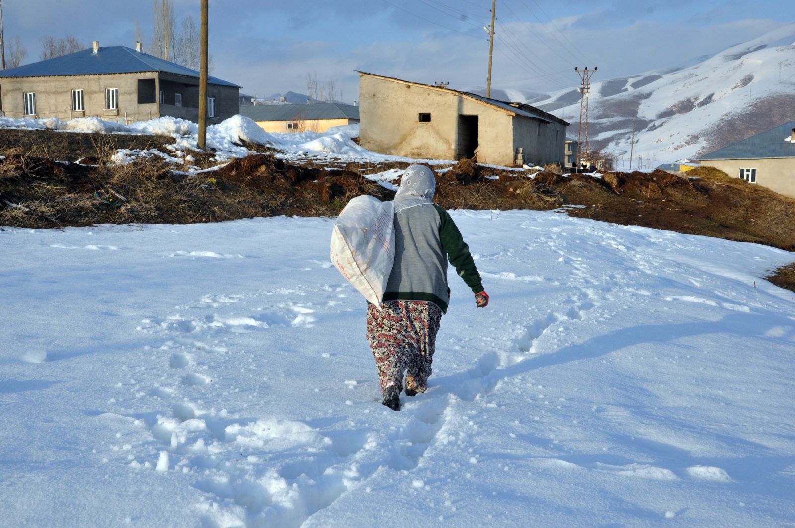 70 yaşındaki Safiye Nine, 10 kişinin yapamadığı işi tek başına yapıyor