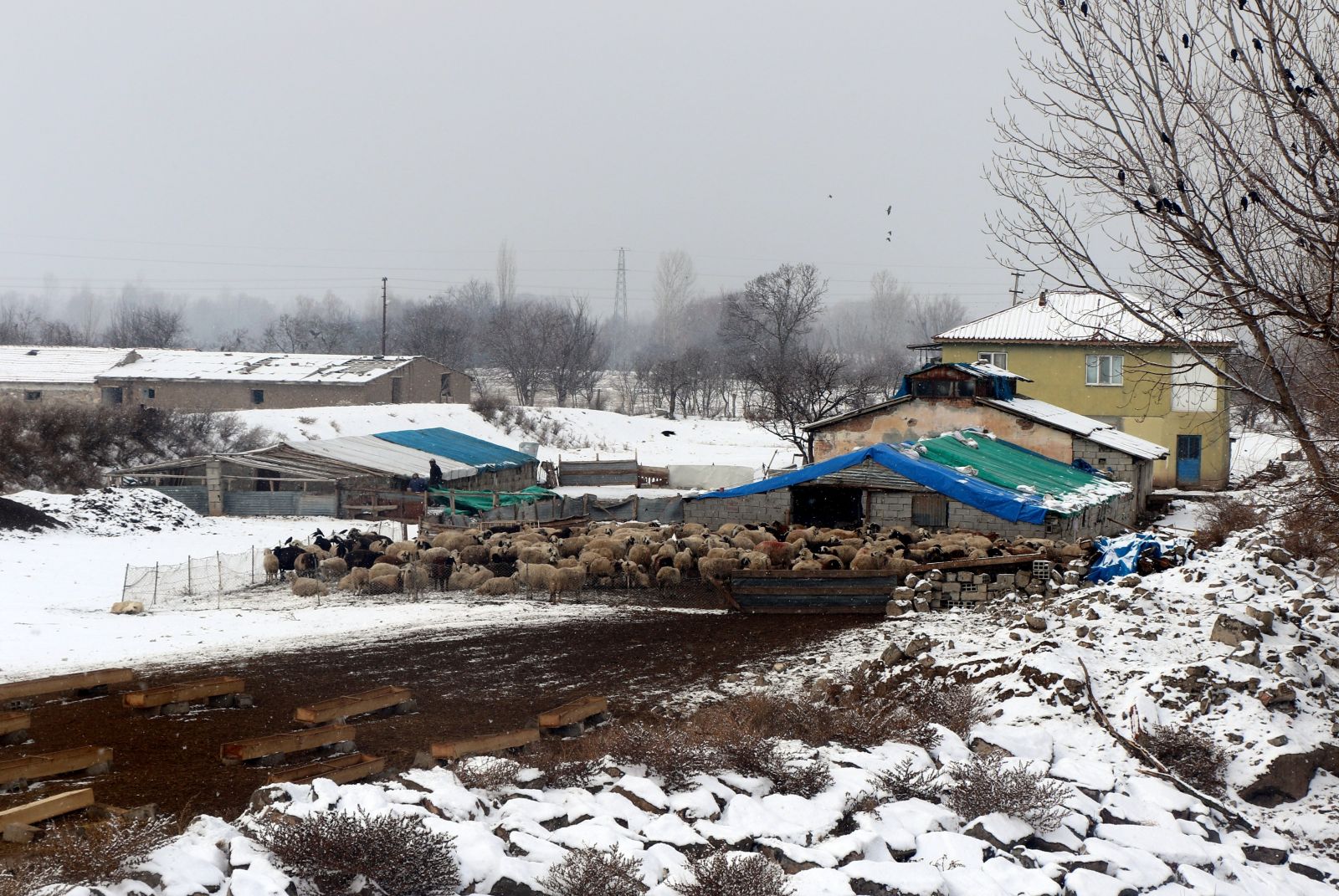 Lapa lapa kar yağdı, meteoroloji uyardı! 40 santim bekleniyor