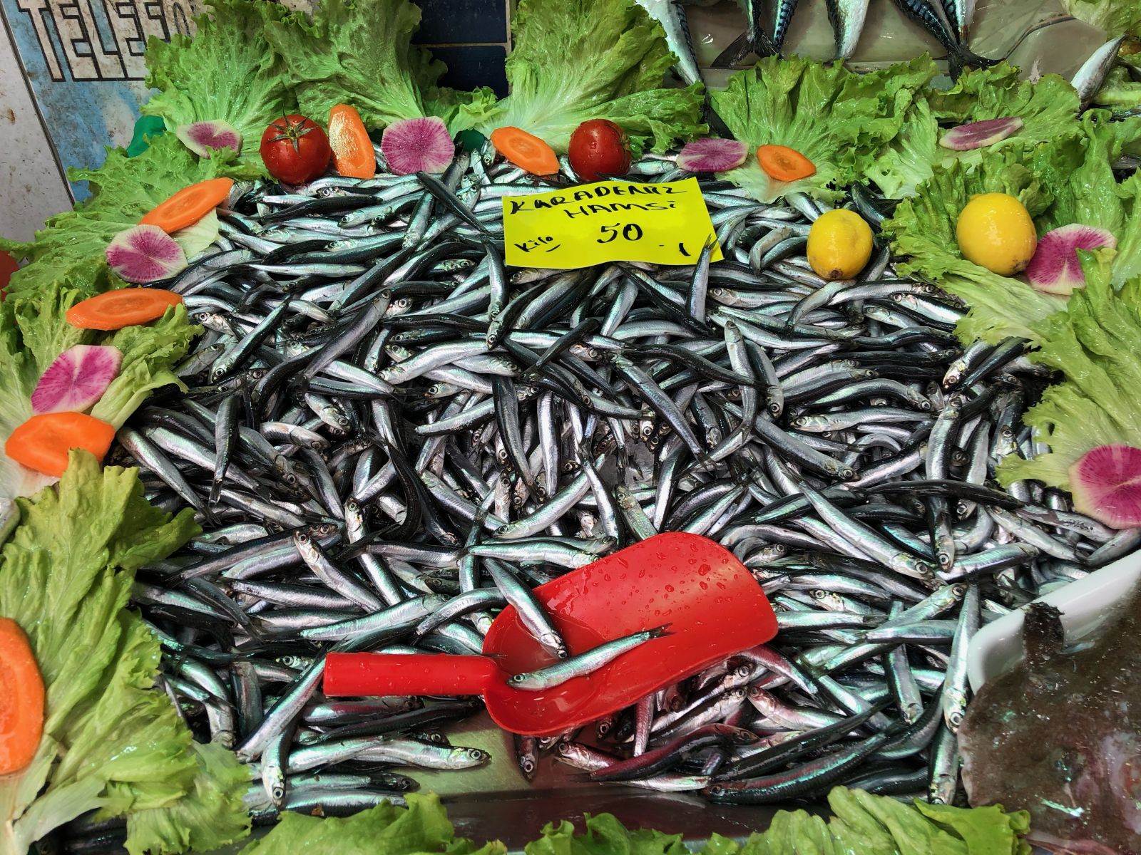 Fiyatı iki kat arttı: Hamsinin kilosu 50 liraya çıktı