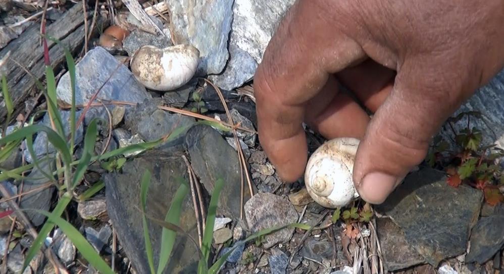 Köylüler derenin sırrını yıllardır çözemedi