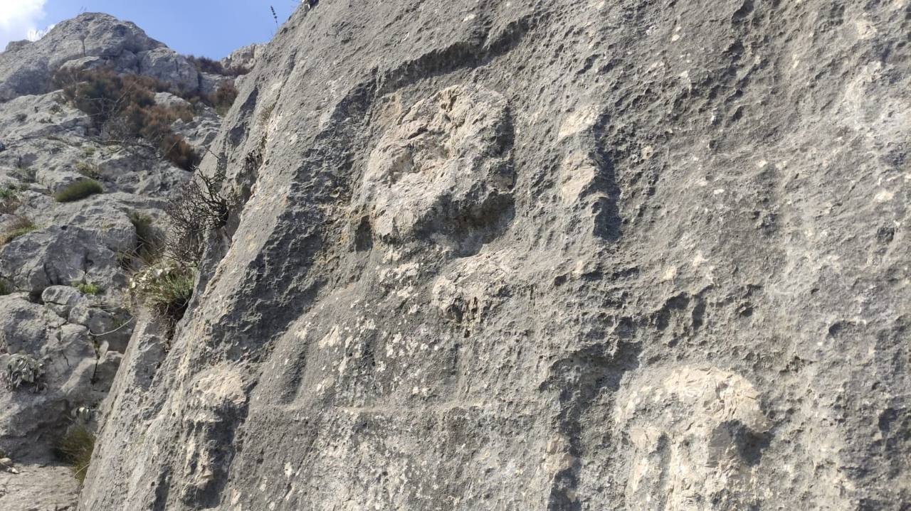 Bursa'da dev kayaların üzerinde bulunan figürler gizemini koruyor