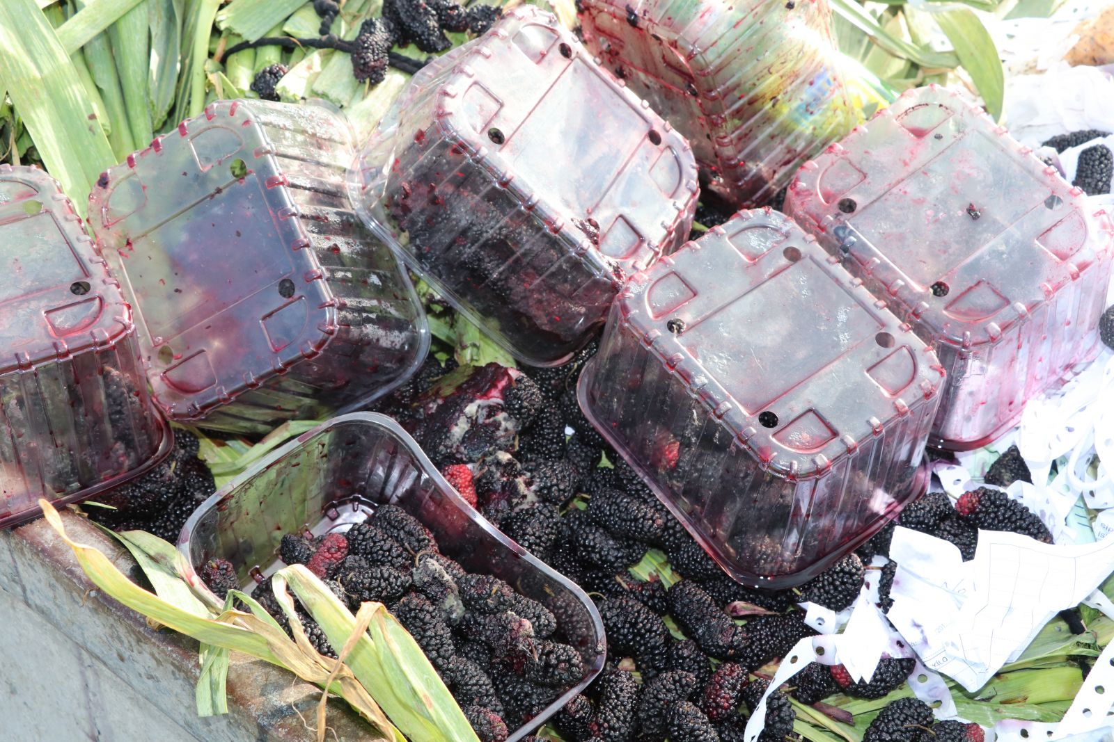 Sebzeler halde kaldı: Bu emeği çürütmeyin