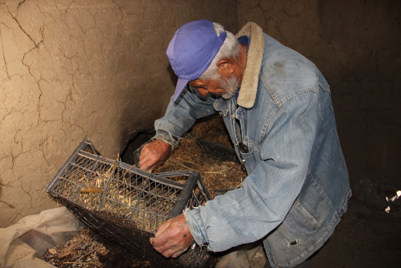 Bin taneden milyonlarca üretti, gübresini ücretsiz dağıtıyor