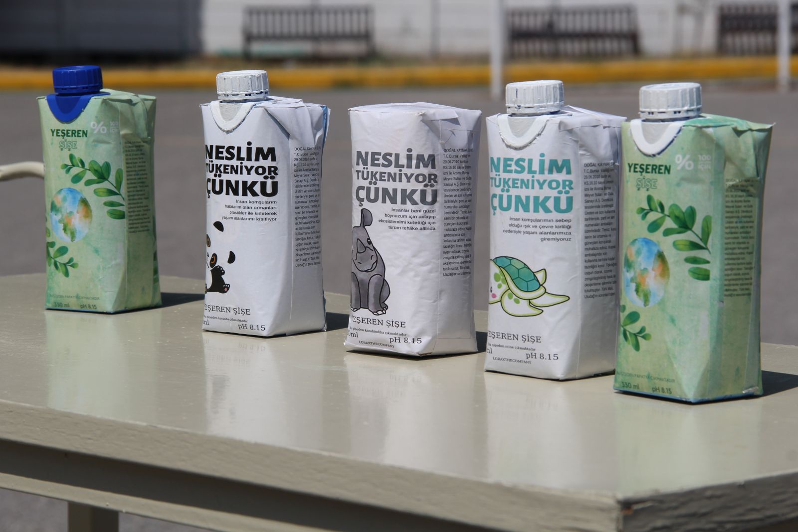 'Yeşeren Şişe': Doğada çözünerek tohum saçıyor, ağaca dönüşüyor