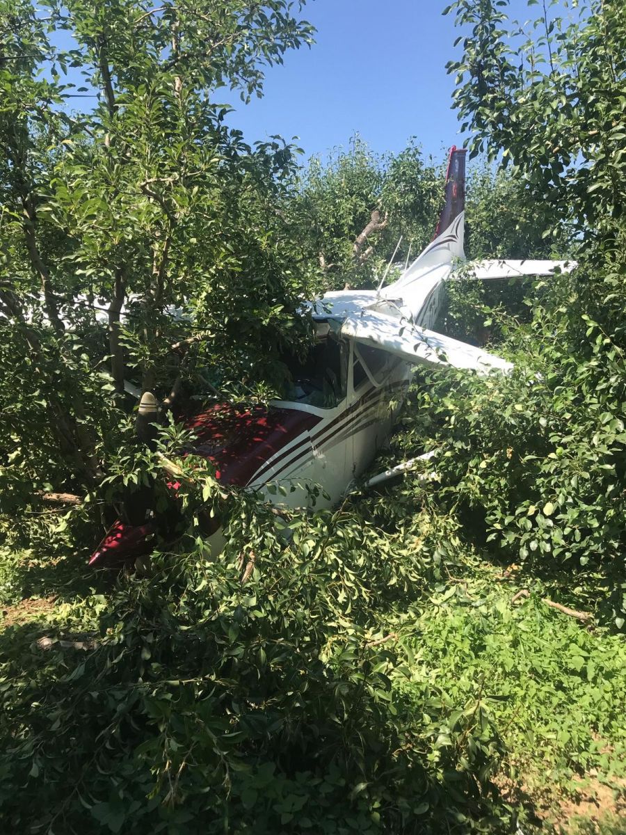 Bursa'da eğitim uçağı bahçeye indi Bursa'da eğitim uçağı bahçeye indi