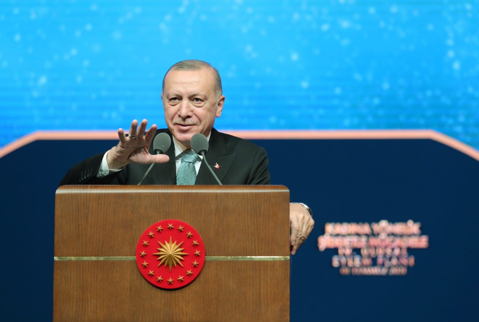 Cumhurbaşkanı Erdoğan açıkladı: Kadına şiddete karşı yeni eylem planı