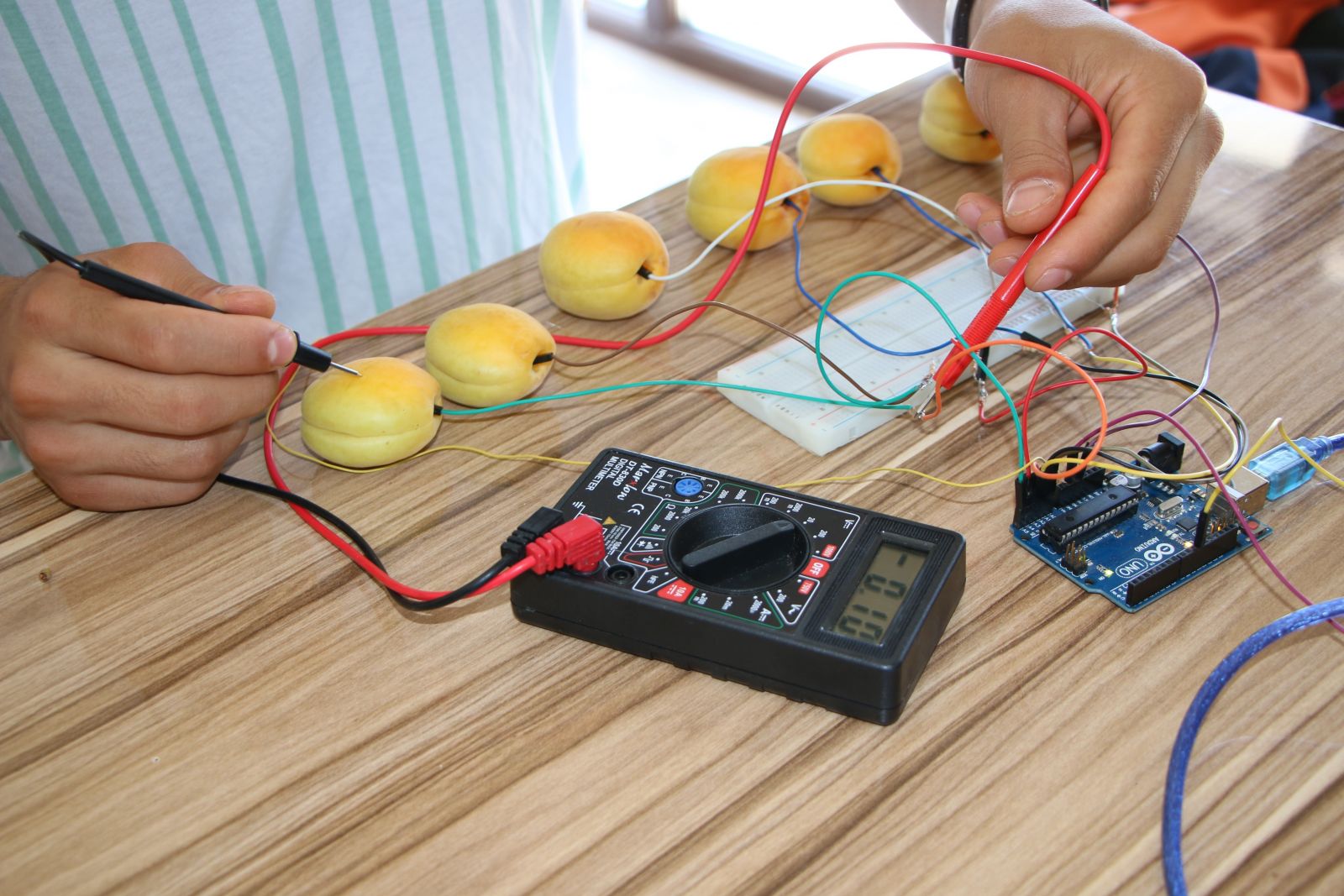 Görenler gözlerine inanamadı: Kayısıdan piyano