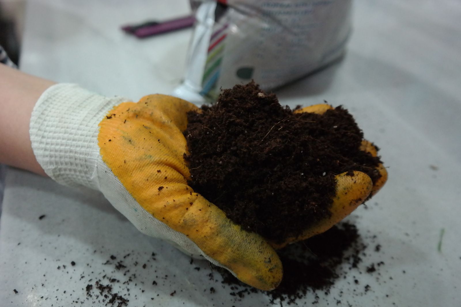 Ucuza satılan bitki toprakları sineklenme yapıyor