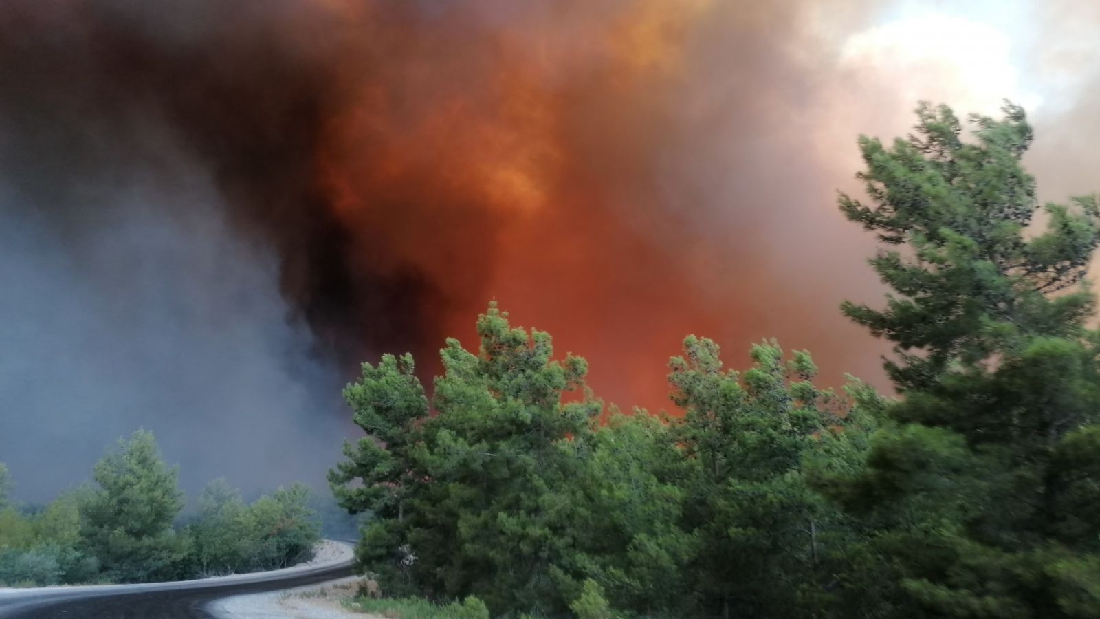 Antalya Manavgat'ta yangın: Yerleşim yerlerine sıçradı