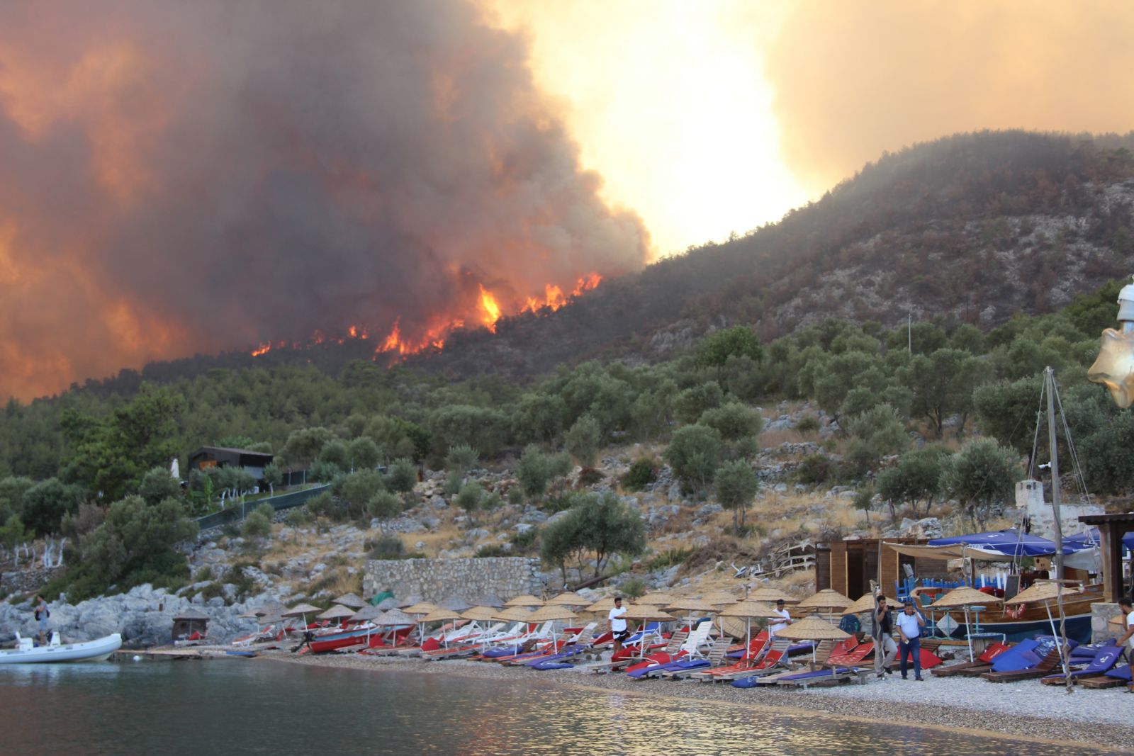 Orman yangınları 3 ilde sürüyor