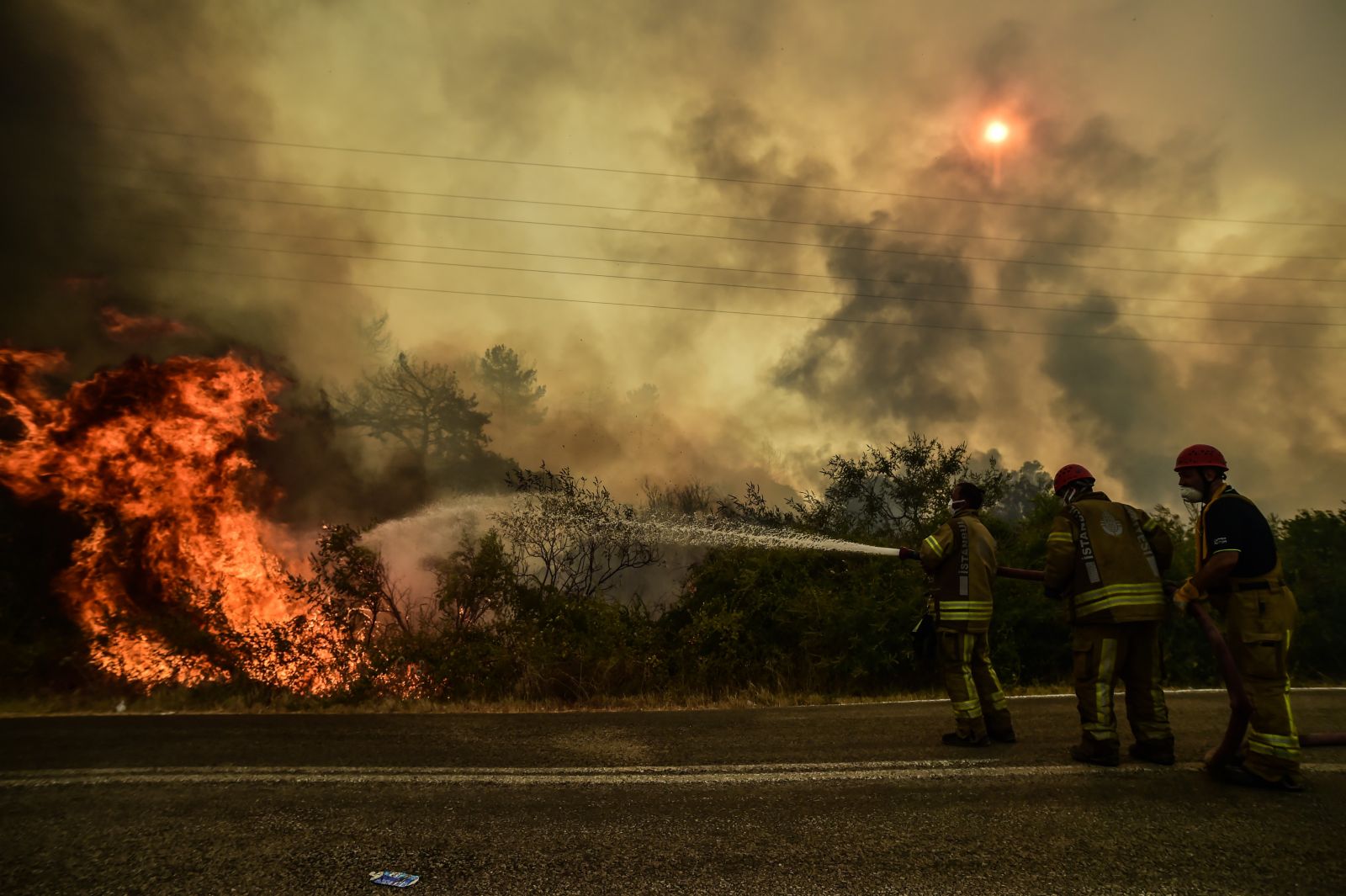 Profesörden çok önemli Manavgat yangını açıklaması