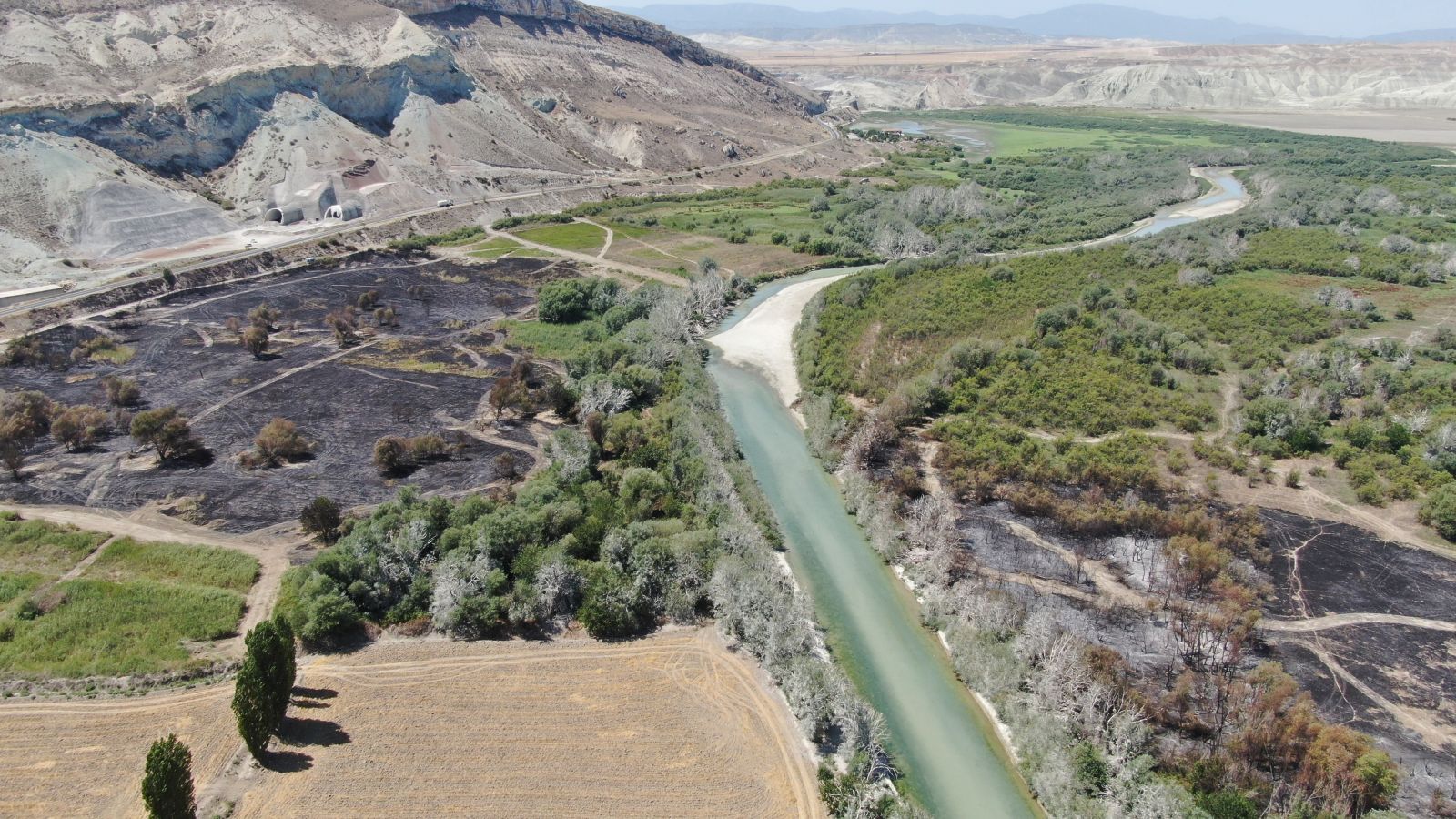 Nallıhan Kuş Cenneti'ndeki yangının nedeni belli oldu