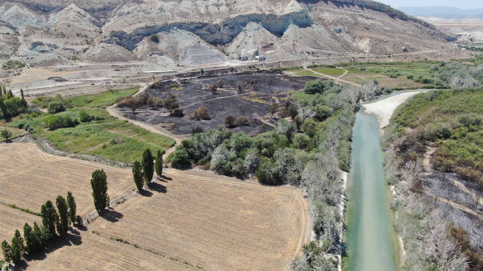 Nallıhan Kuş Cenneti'ndeki yangının nedeni belli oldu