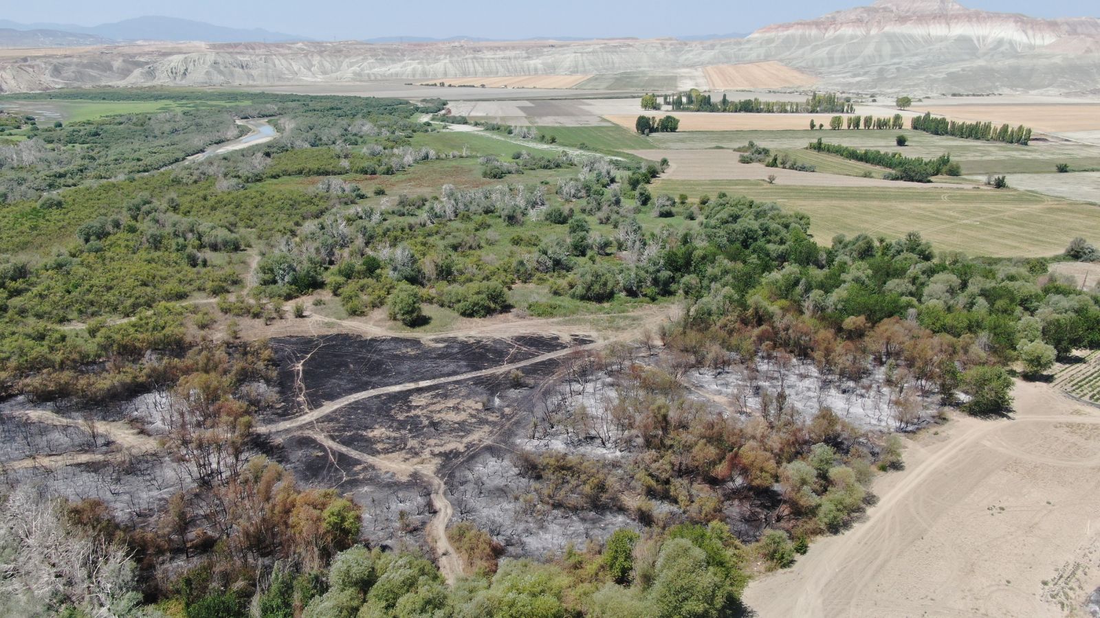 Nallıhan Kuş Cenneti'ndeki yangının nedeni belli oldu