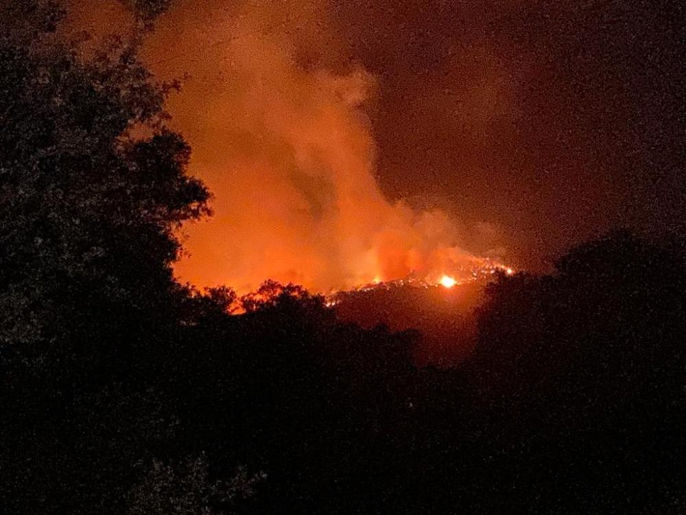 Milas tehlikede! Alevler termik santrale ilerliyor