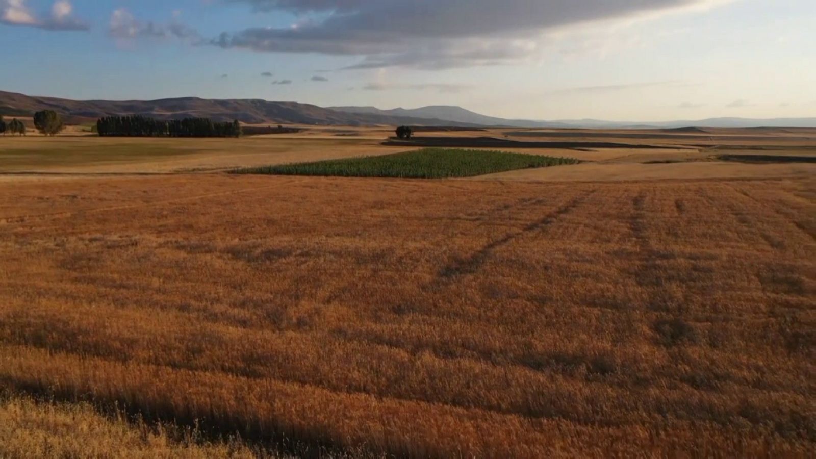 Evinde ürettiği bakteri ile tarımsal üretimini ikiye katladı Evinde ürettiği bakteri ile tarımsal üretimini ikiye katladı