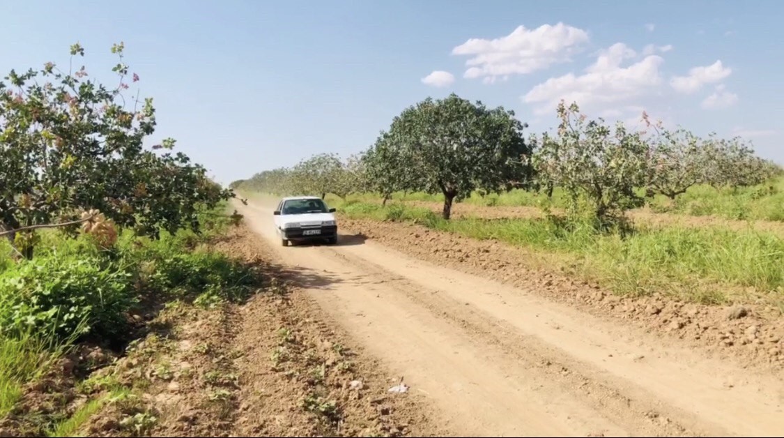 Hırsızlara geçit yok! Bekçiler fıstık nöbetine başladı Hırsızlara geçit yok! Bekçiler fıstık nöbetine başladı