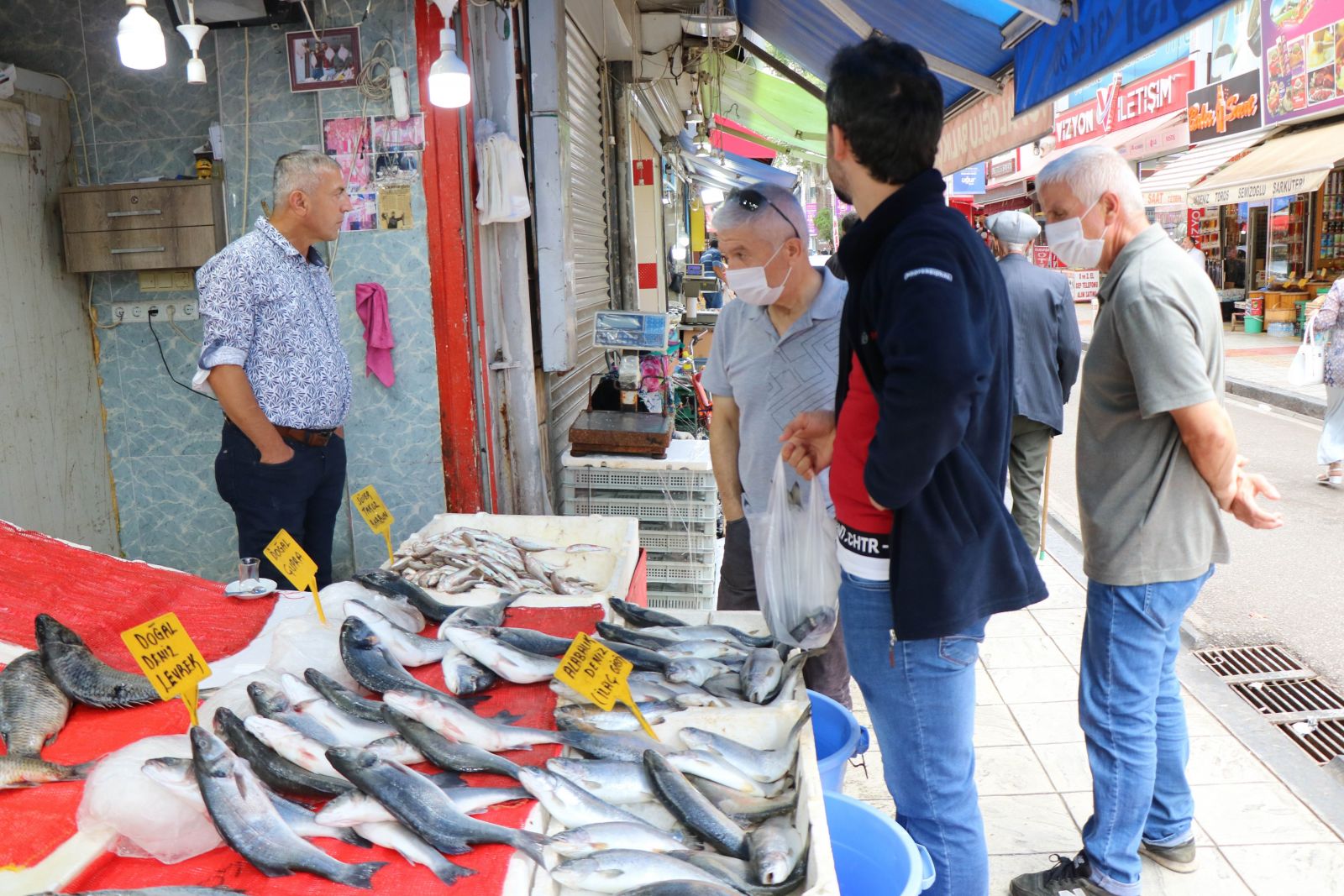 Balıkçıların yüzü palamuttan yana gülmüyor Balıkçıların yüzü palamuttan yana gülmüyor