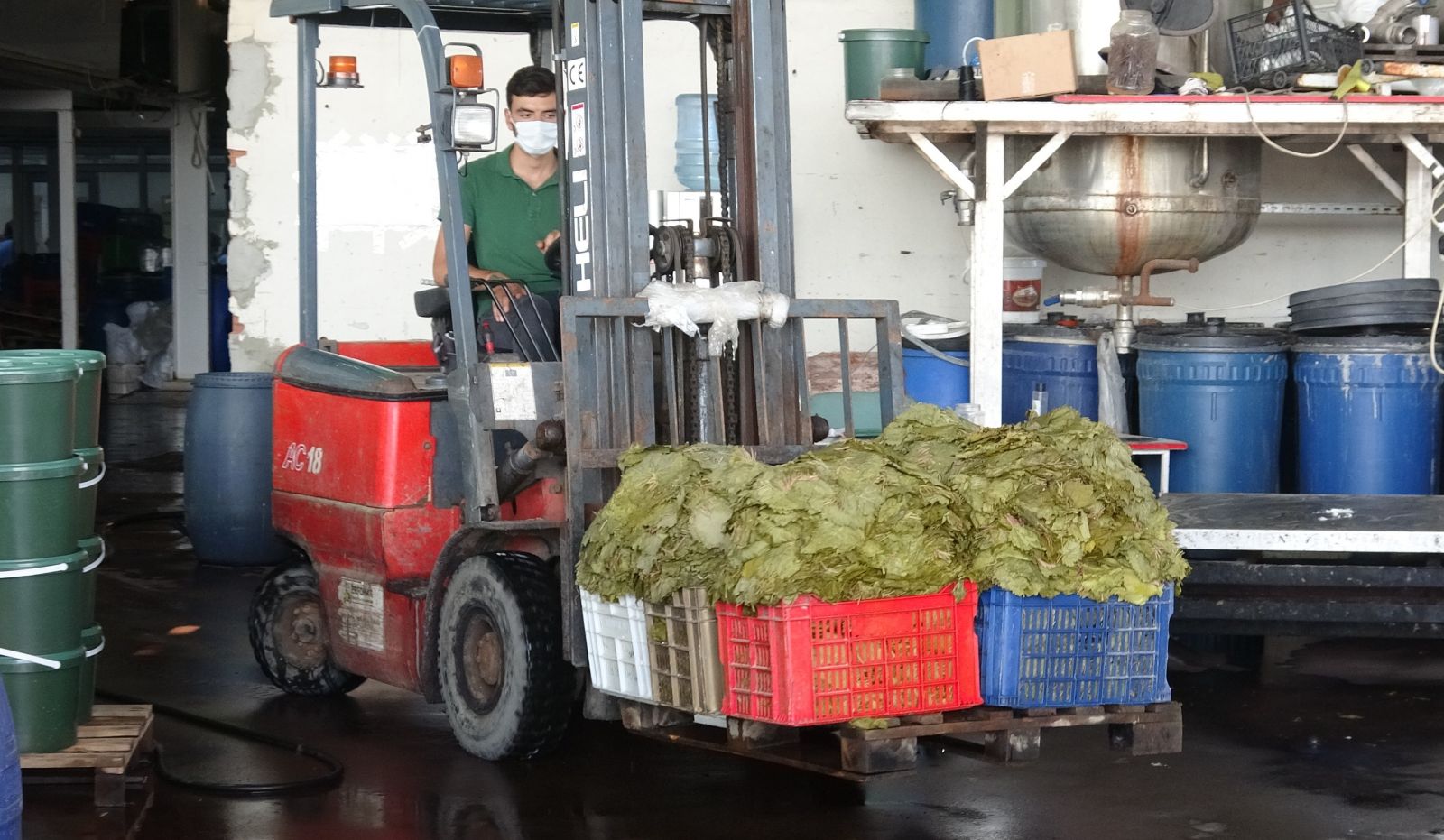 Tokat'ta üretiliyor, 10 liraya satılıyor! 15 ülke sıraya girdi