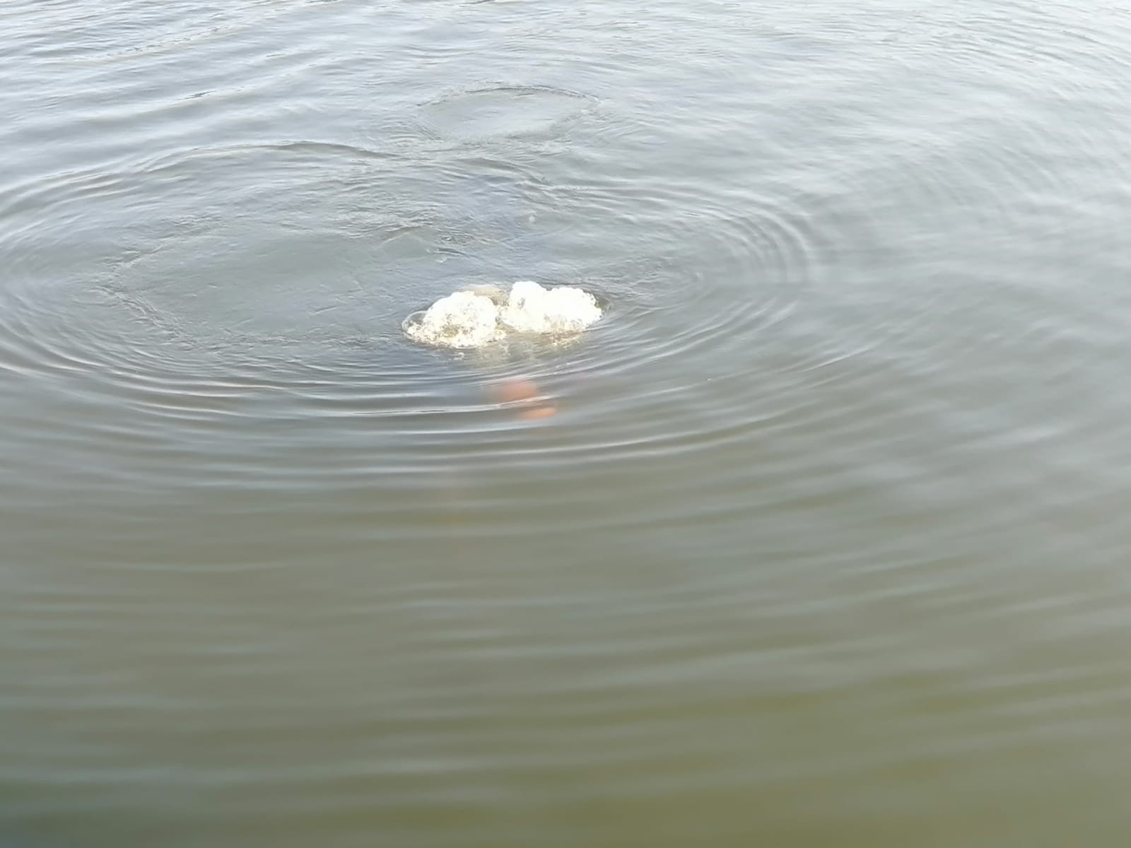 Dört gündür kayıptı! Genç kızın cansız bedenine ulaşıldı