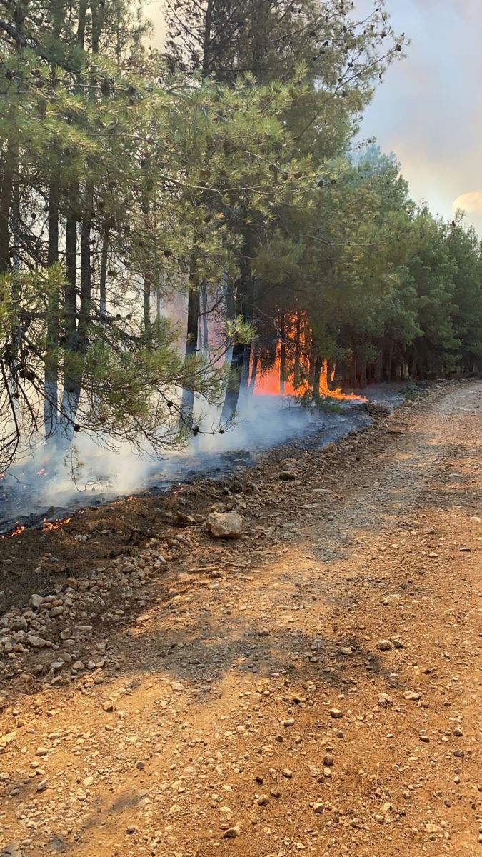 Denizli’de orman yangını! Kısa sürede kontrol altına alındı Denizli’de orman yangını! Kısa sürede kontrol altına alındı