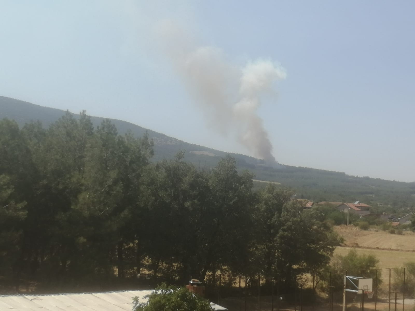 Denizli’de orman yangını! Kısa sürede kontrol altına alındı Denizli’de orman yangını! Kısa sürede kontrol altına alındı