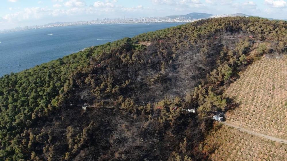 Heybeliada’da yangının bıraktığı hasar havadan görüntülendi