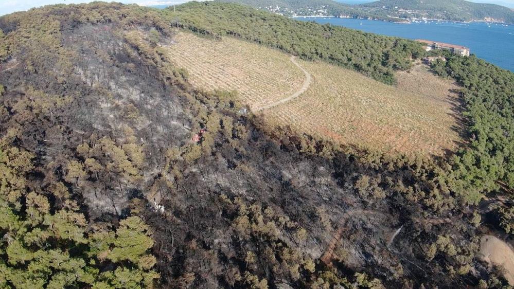 Heybeliada’da yangının bıraktığı hasar havadan görüntülendi