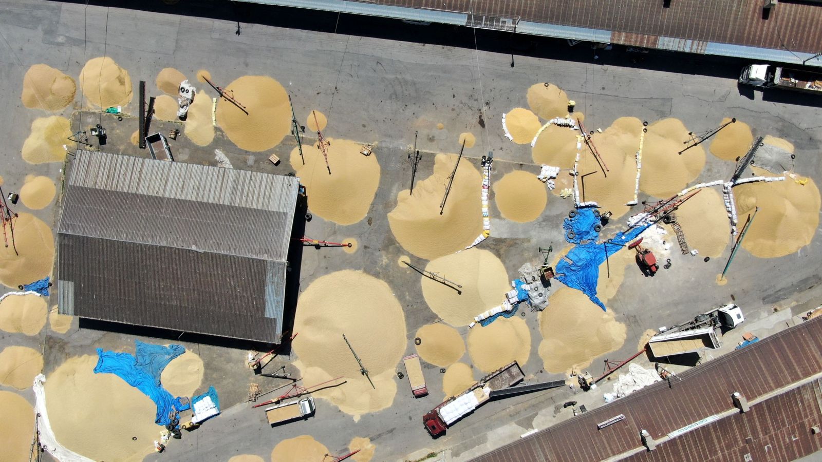 Üreticiler endişeli: “Fiyat yüksek ama ürün yok” Üreticiler endişeli: “Fiyat yüksek ama ürün yok”