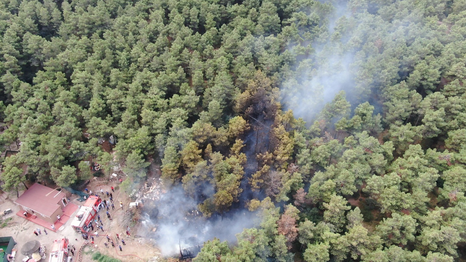 Maltepe Başıbüyük Ormanı'nda yangın