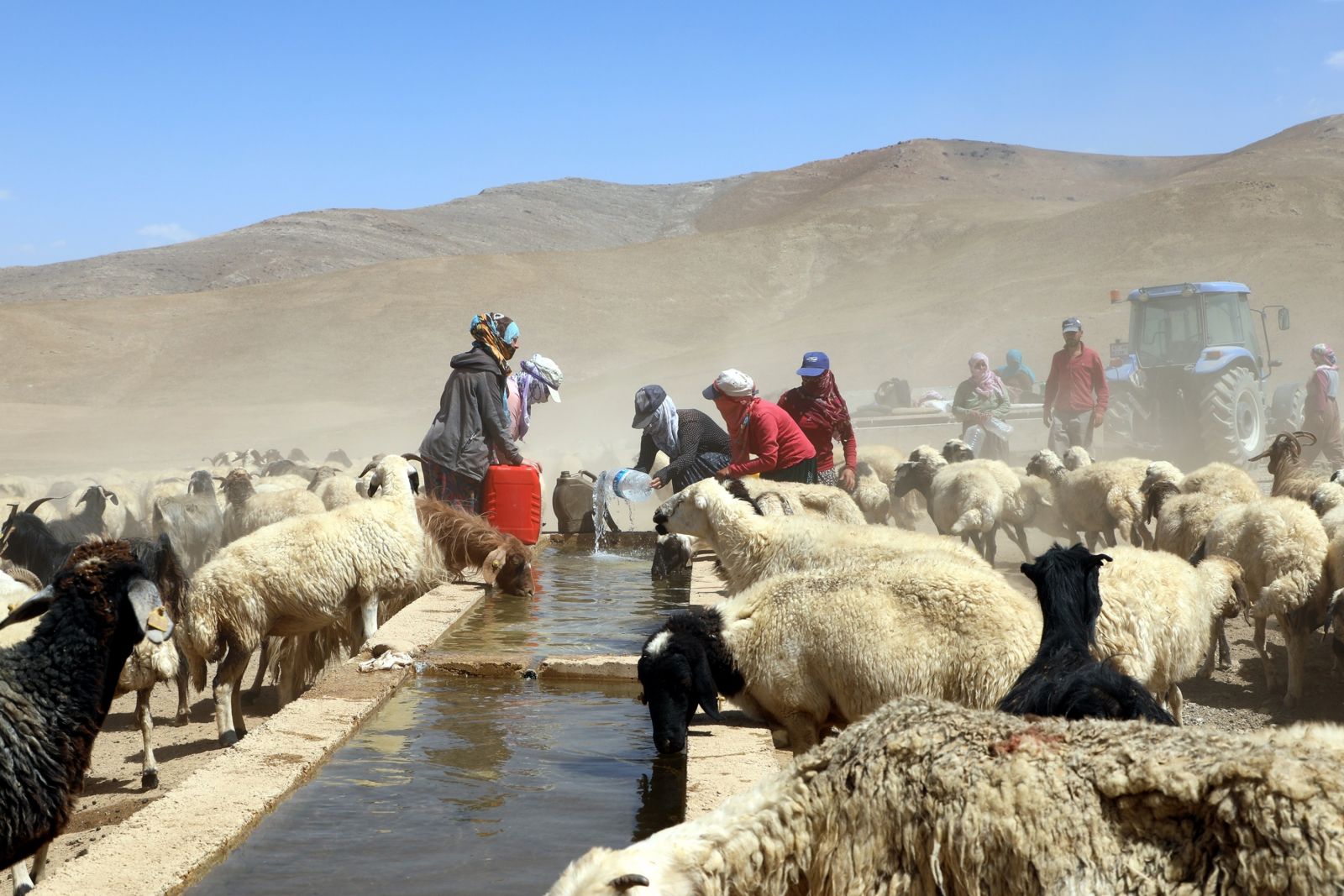 Yaylaya suyun gelmesiyle şenlik oluştu! Şarkı söyleyip halay çektiler