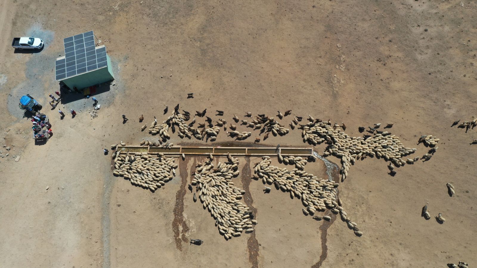 Yaylaya suyun gelmesiyle şenlik oluştu! Şarkı söyleyip halay çektiler